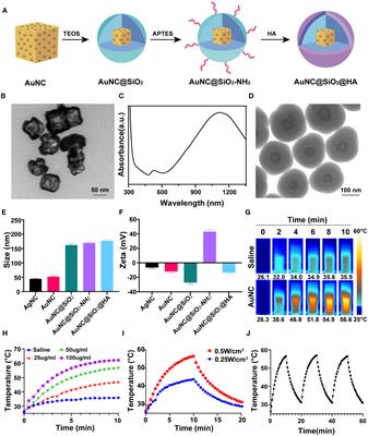 Photothermally sensitive gold nanocage augments the antitumor efficiency of immune checkpoint blockade in immune “cold” tumors